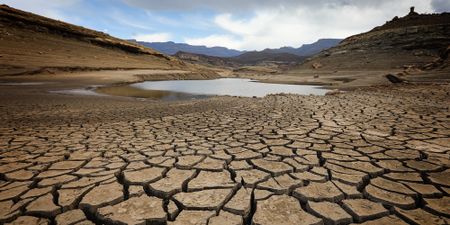 East Africa and the Horn light the way for climate migrants