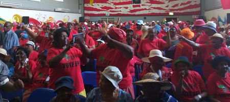 Grannies come to the party at EFF election manifesto assembly