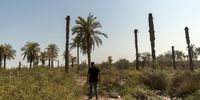 Nail Aboud at his abandoned farm. Water scarcity and snakes forced him to abandon the farm which had been in his family for generations. (Photo: Susan Schulman)