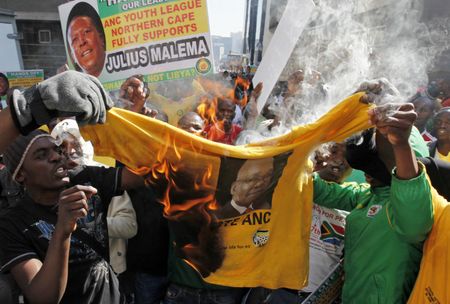 Analysis: The Malema political Ponzi Scheme