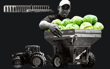 El Niño, oil shocks and hunger mean SA needs a synchronised food strategy