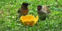 Breakfast. Photographer: Margaretha Wielsma