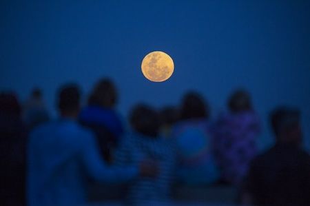 While you were sleeping: 15 November 2016