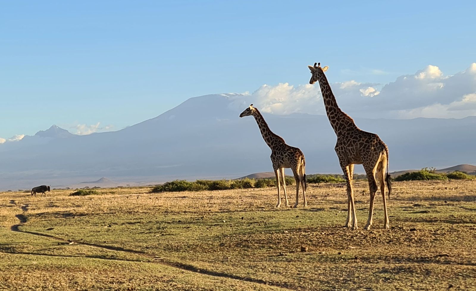 From gourds to satellites: A new Maasai-inspired model for reweaving ...