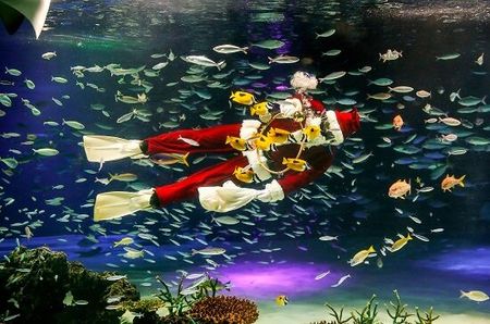 While you were sleeping: 23 December 2016