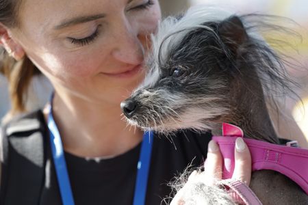 The World’s Ugliest Dog contest, and more from around the world