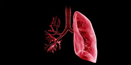 The South African lung – can it breathe through the surge?