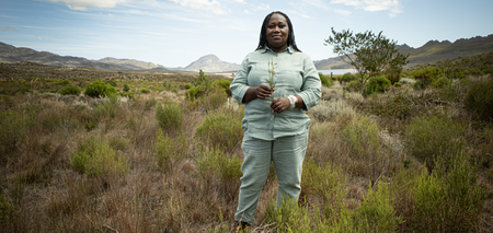 SAB highlights South African women restoring Western Cape water systems by clearing invasive plant