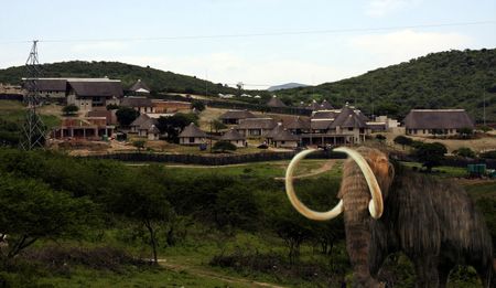 Nkandla: The neon mammoth in the ANC’s election war room