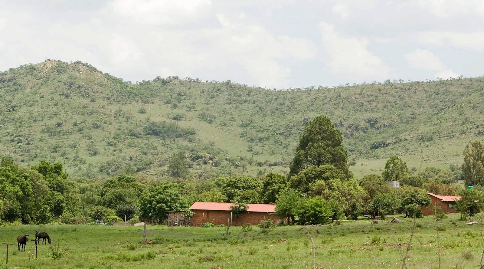 ThammDeKock