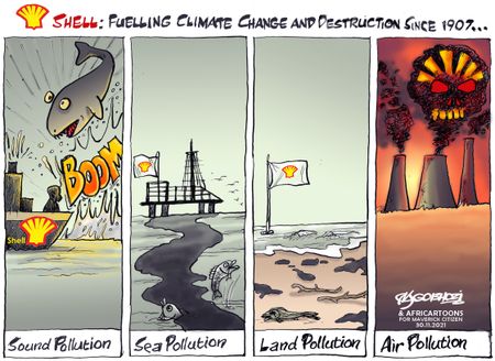 Shell-shocked