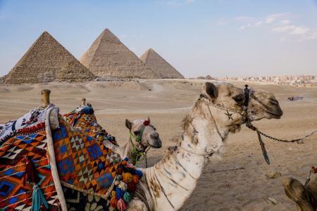 Egypt unlocks $820m in IMF funding after programme review