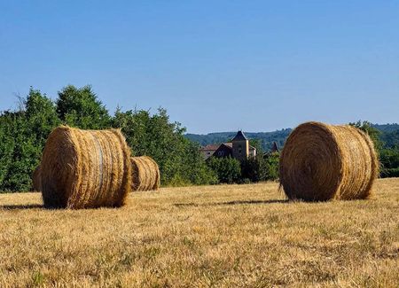 Summertime and the living ain’t (always) easy in sweltering France
