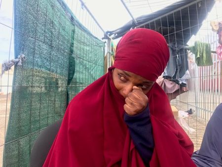 Home Affairs claims it will fast-track 68-year backlog in refugee applications in four years