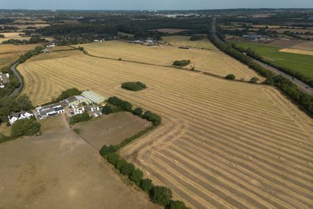 Drought-hit Britain heads for worst cereal harvest in four decades