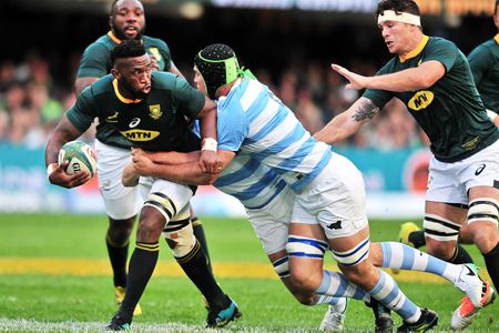Erasmus-Kolisi mojo helps Bok team culture blossom