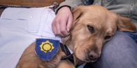 Peanut, dressed as the court orderly, lies on the lap of one of the children present in court. (Photo: Wikus De Wet)