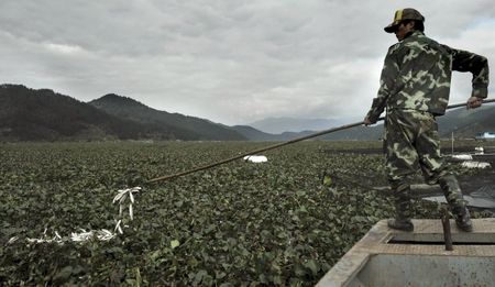 In China, Public Anger Over Secrecy On Environment