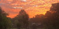 Golden sunrise (this morning, 19 March 2021) – Farmall, Rietvallei.