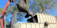 An immobilized elephant is hoisted aboard a transporter truck in Mkhuze Game Reserve in 2018, prior to being relocated to Zinave National Park in Mozambique. <br>(Photo: Tony Carnie)