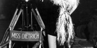 Oped-Wende-Dietrich
