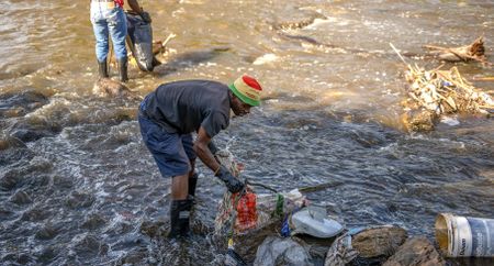 Calls to ‘reimagine, recreate and restore’ ecosystems and use education in the fight for social justice