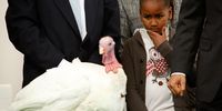 WASHINGTON - NOVEMBER 25:  Sasha Obama, the daughter of U.S. President Barack Obama, looks at a turkey named "Courage" during an event to pardon the 20-week-old and 45-pound turkey at the North Portico of the White House November 25, 2009 in Washington, DC. The Presidential pardon of a turkey has been a long time Thanksgiving tradition that dates back to the Harry Truman administration.  (Photo by Alex Wong/Getty Images)