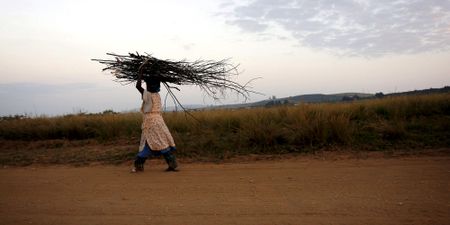 Court orders Zulu King’s trust to pay back millions over forced land leases