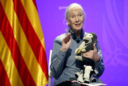 Jane Goodall’s legacy of courage and hope