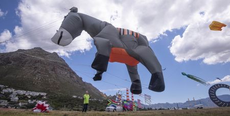 Garden Day, kites, comedy and more — things to do this week around South Africa