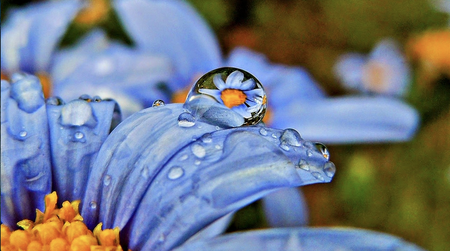 I have a picture for you! 02 August-08 August 2025