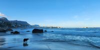Forget the view - throw the ball. Photographer: Ian Morris <br>