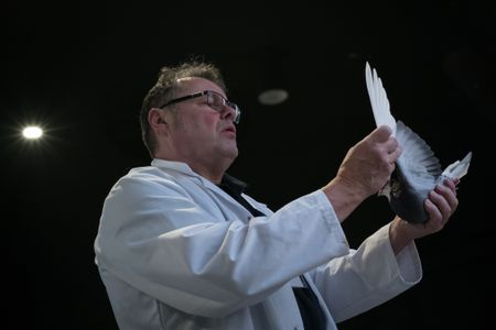 Judging for fancy pigeons, Davos, and more from around the world