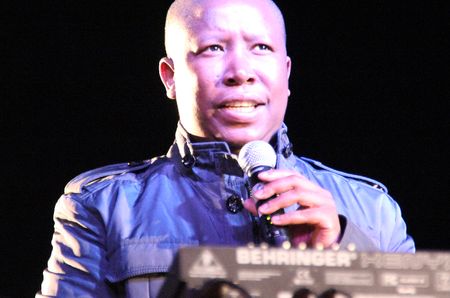 Sticks and stones may break Malema's bones... but maybe not