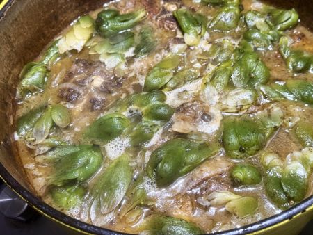 Waterblommetjiebredie, the edited version