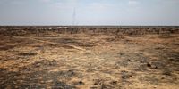 The burned area surrounding a lookout point at Olifantsrus in the Etosha National Park. (Photo: Ernst Calitz)