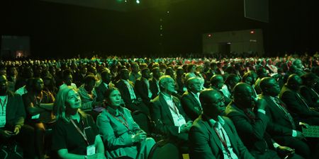 After the Bell: The siren song of downstream beneficiation