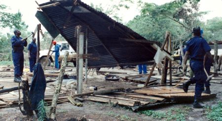 Desperate land invasions condemn South Africa’s wild lands to ‘death by a thousand cuts’