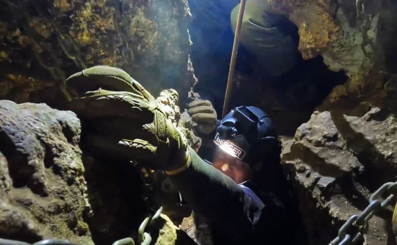 Scientists discover burials, symbols by extinct species in Cradle of ...
