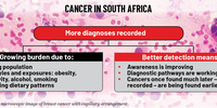 P10 ProfBenn Cancer