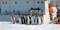 Don-Antarctica tourism