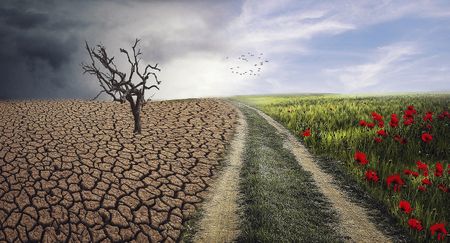 Precarious planet: Choosing Earth, or choosing carbon