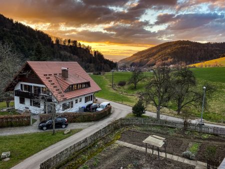 Like a boiling frog… snow becomes a scarce treasure in a warming world