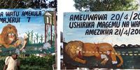 Forty people were killed in lion attacks in Rufiji, Tanzania, between 2002 and 2004. The billboard on the left states: ‘A man-eating lion has eaten 40 people and injured 7 others.’ The second billboard states that the lion was killed by villagers on 20 April 2004, and buried the next day. According to Dr Craig Packer, while attacks involved a group of lions, villagers believed that one lion, which they called Osama, was responsible. (Photos: Hadas Kushnir)