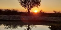 CAPTION: Sunset in Limpopo (Pezulu Tree House Lodge)...note the 'orb'.</p>
<p>CREDIT: Hilda Slater