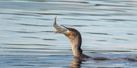 Breakfast! Image: Dylan O'Hagan 