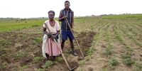 Luvuyo Ndovela and his mother, Magilede, weeding their sweet potatoe field in Sigidvi Village, Eastern Cape.<br>(Photo: Margie Pretorius)