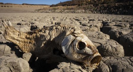 Karoo towns struggle while Eastern Cape dams dry up