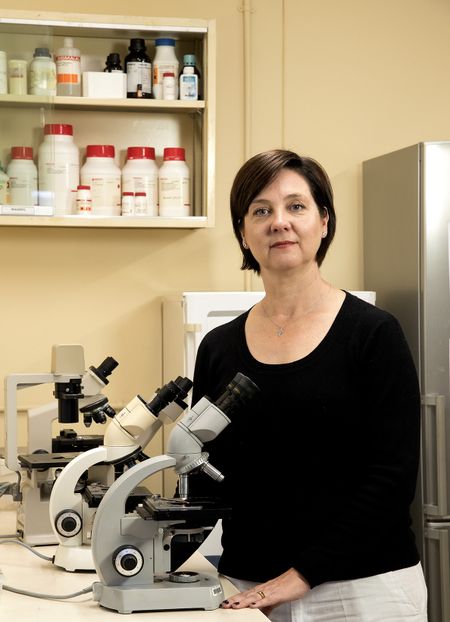 Discovery by South African scientists gives new hope for eradication of malaria