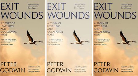 Exit Wounds - ‘A fascinating wormhole between this world and the next’
